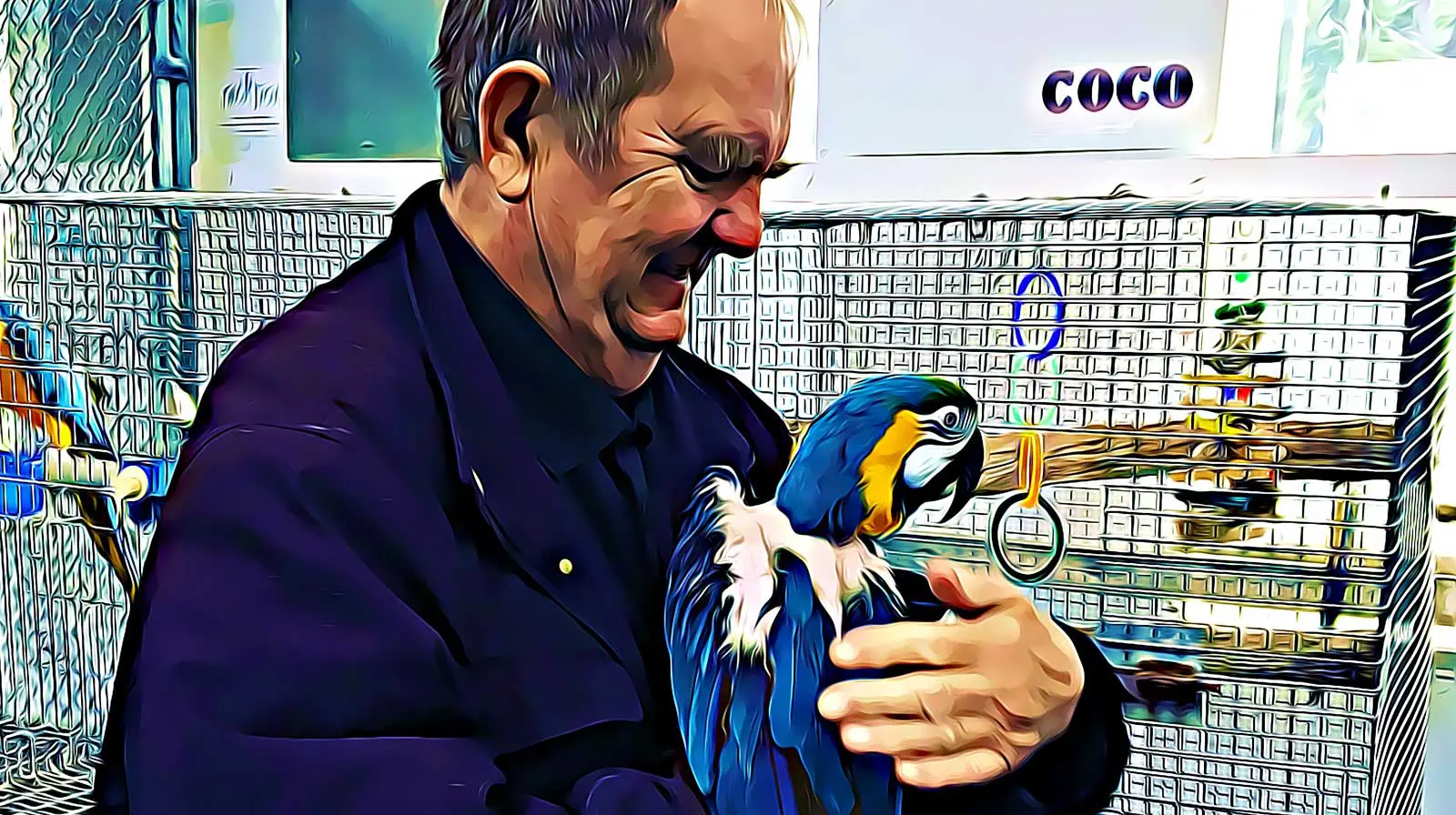 parrot-island-peachland-virtual-guide-gookanagan.com_.jpg